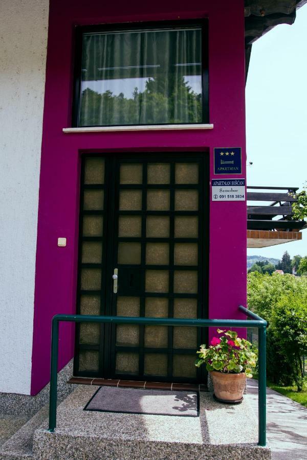 Apartment Biscan סאמובור מראה חיצוני תמונה